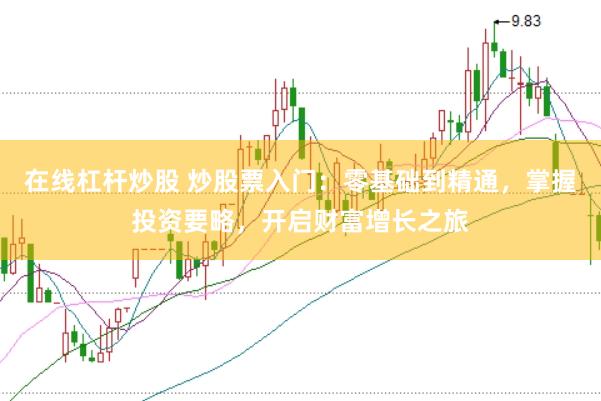 在线杠杆炒股 炒股票入门：零基础到精通，掌握投资要略，开启财富增长之旅
