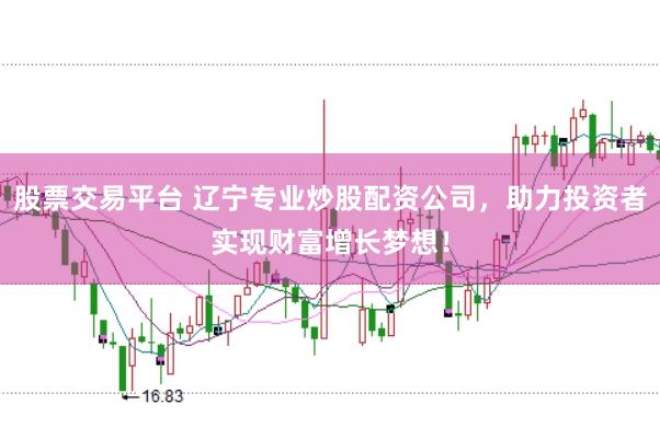 股票交易平台 辽宁专业炒股配资公司，助力投资者实现财富增长梦想！