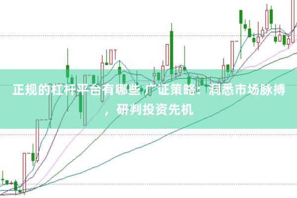 正规的杠杆平台有哪些 广证策略：洞悉市场脉搏，研判投资先机