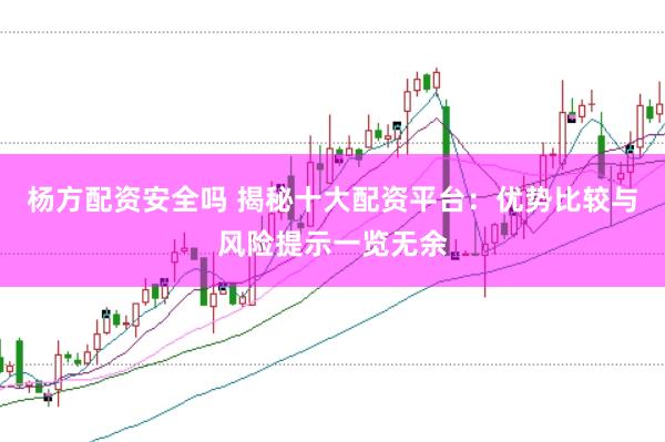 杨方配资安全吗 揭秘十大配资平台：优势比较与风险提示一览无余