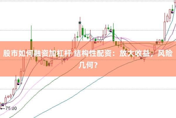 股市如何融资加杠杆 结构性配资：放大收益，风险几何？