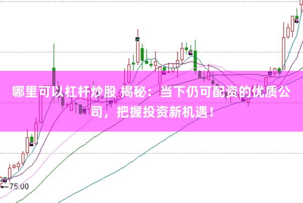 哪里可以杠杆炒股 揭秘：当下仍可配资的优质公司，把握投资新机遇！