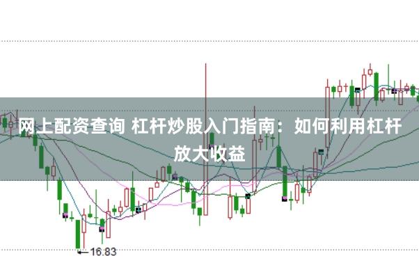 网上配资查询 杠杆炒股入门指南：如何利用杠杆放大收益
