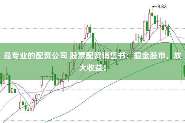 最专业的配资公司 股票配资销售书：掘金股市，放大收益！