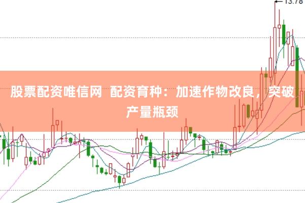 股票配资唯信网  配资育种：加速作物改良，突破产量瓶颈
