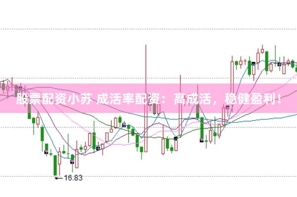 股票配资小苏 成活率配资：高成活，稳健盈利！
