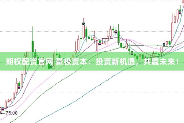 期权配资官网 豪极资本：投资新机遇，共赢未来！