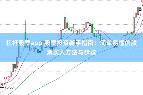 杠杆股票app 股票投资新手指南：简单易懂的股票买入方法与步骤