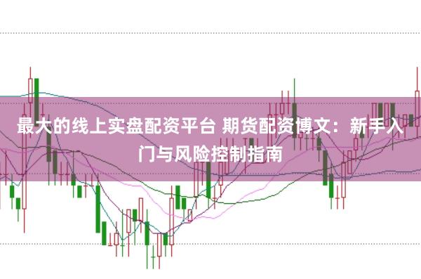 最大的线上实盘配资平台 期货配资博文：新手入门与风险控制指南
