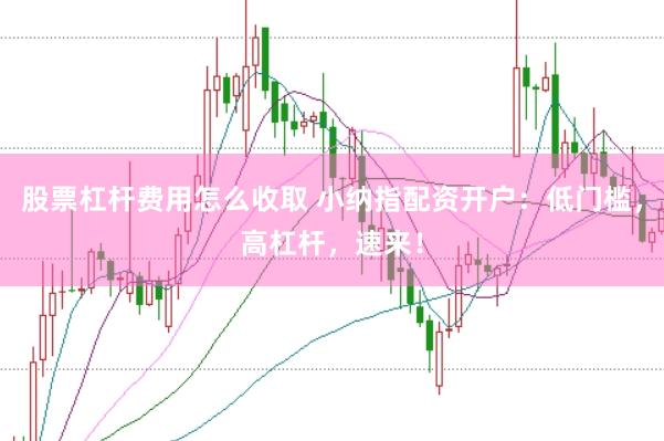 股票杠杆费用怎么收取 小纳指配资开户：低门槛，高杠杆，速来！