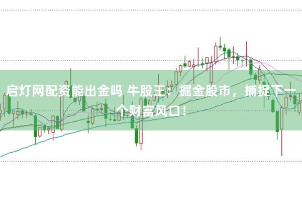 启灯网配资能出金吗 牛股王：掘金股市，捕捉下一个财富风口！