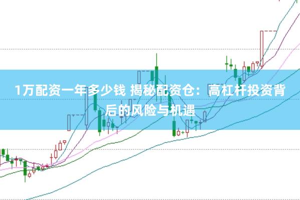 1万配资一年多少钱 揭秘配资仓：高杠杆投资背后的风险与机遇
