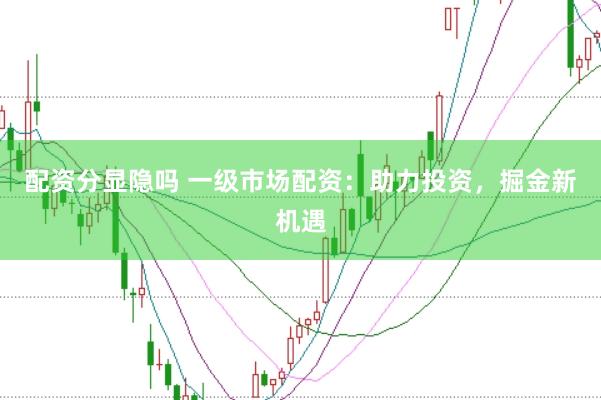 配资分显隐吗 一级市场配资：助力投资，掘金新机遇