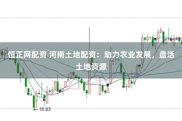 恒正网配资 河南土地配资：助力农业发展，盘活土地资源