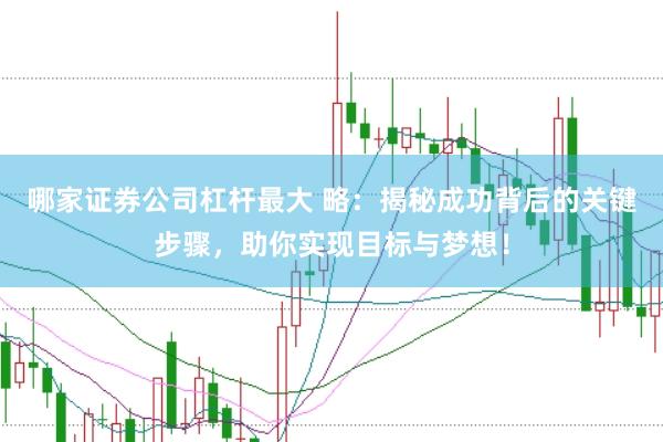 哪家证券公司杠杆最大 略：揭秘成功背后的关键步骤，助你实现目标与梦想！