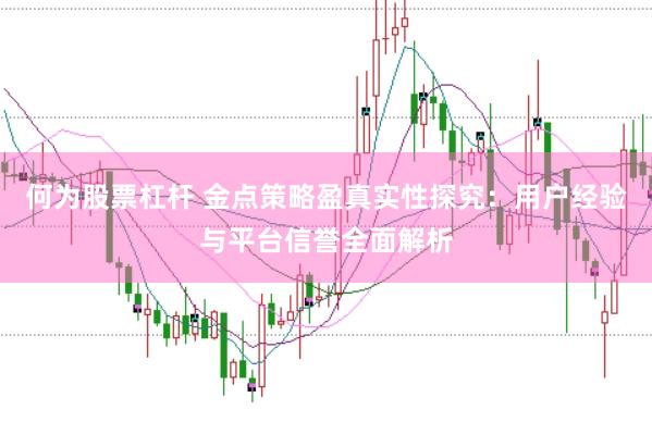 何为股票杠杆 金点策略盈真实性探究：用户经验与平台信誉全面解析