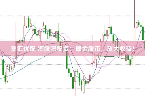 嘉汇优配 淘股吧配资：掘金股市，放大收益！