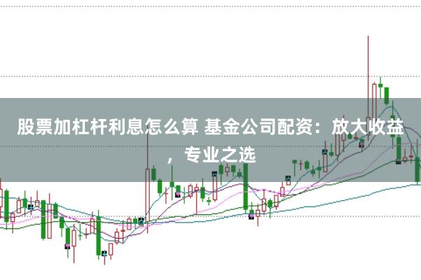 股票加杠杆利息怎么算 基金公司配资：放大收益，专业之选