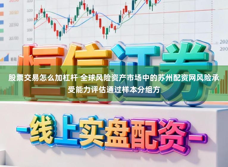 股票交易怎么加杠杆 全球风险资产市场中的苏州配资网风险承受能力评估通过样本分组方